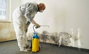 Best Mold Removal for HVAC Installations  in Maineville, OH