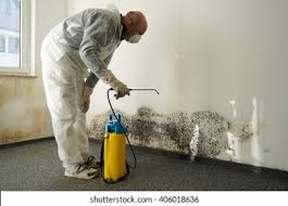 Best Mold Remediation for Vacation Homes  in Maineville, OH